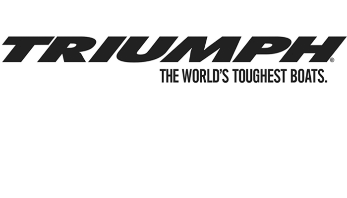 Triumph 210